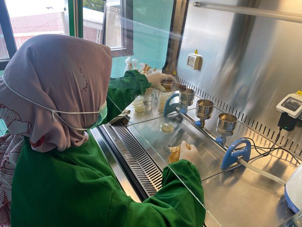 Ruang Mikrobiologi Kesmas & Lingkungan